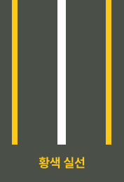 황생 실선