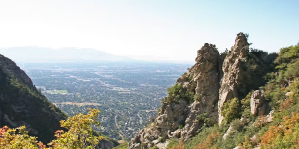 코튼우드 하이츠시 관련사진3