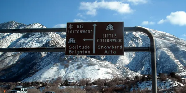 코튼우드 하이츠시 관련사진4